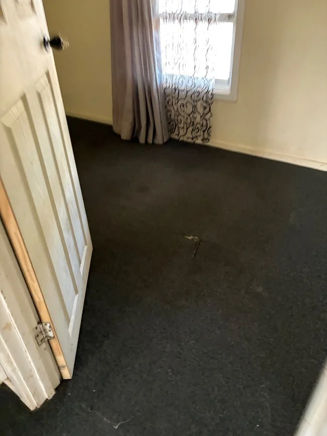 Damaged dark loop carpet in a Melbourne rental property bedroom before replacement